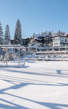 Hotel Alpin Resort Sacher (Seefeld, Austria)