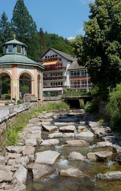 Das Bad Peterstal Gesundheitshotel (Bad Peterstal-Griesbach, Alemania)