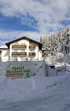 Hotelli Hahnbaum (St. Johann im Pongau, Itävalta)