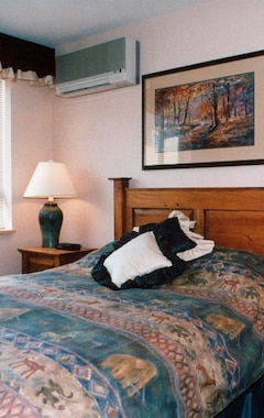 Hotel Vista Estelar De La Montaña. Muebles Rústicos De Montaña. Ubicacion Del Pueblo (Whistler, Canadá)