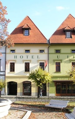 Hotel U Leva (Levoca, Eslovaquia)