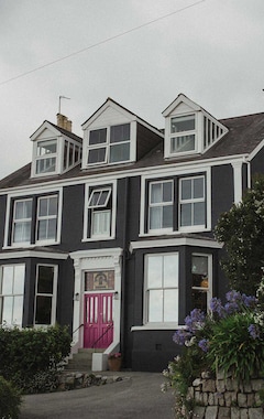 Bed & Breakfast The Sandy Duck (Falmouth, Reino Unido)