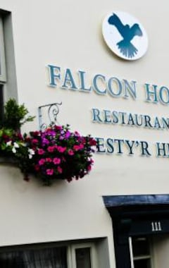 Hotelli Falcon Hotel (Carmarthen, Iso-Britannia)