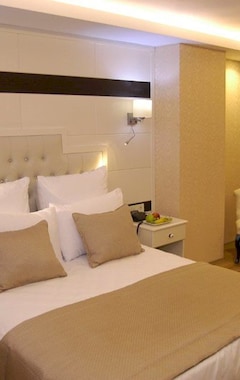 Hotelli Hotel Comfort Elite Beyazit (Istanbul, Turkki)