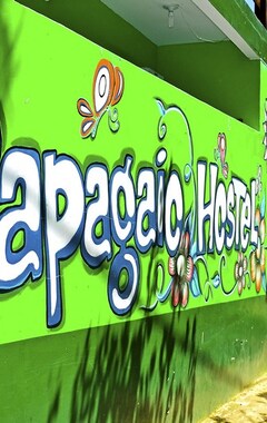 Hotel Papagaio Hostel & Pousada (Morro de São Paulo, Brasil)