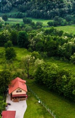 Hele huset/lejligheden Pensiunea Surya (Orăştie, Rumænien)