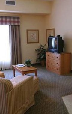 Hotel Homewood Suites by Hilton Houston-Kingwood Parc-Airport Area (Kingwood, USA)