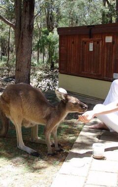Hotel Yelverton Brook Conservation Sanctuary (Busselton, Australia)