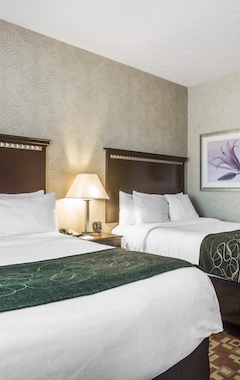 Hotel Comfort Suites (Nashville, USA)