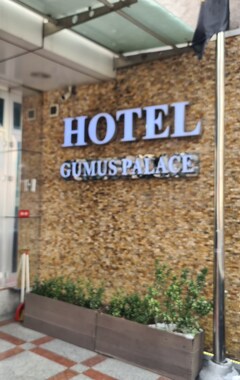 Hotelli Gumus Palace Hotel (Istanbul, Turkki)