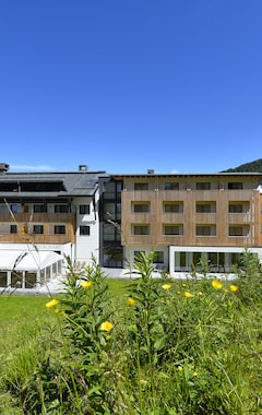 Hotelli Almhotel Kärnten (Hermagor-Pressegger See, Itävalta)