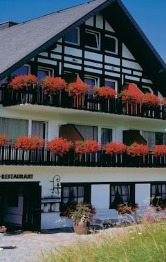 Hotel Hildfeld (Winterberg, Alemania)
