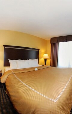Holiday Inn Express Rochester South - Mayo Area, an IHG Hotel (Rochester, EE. UU.)