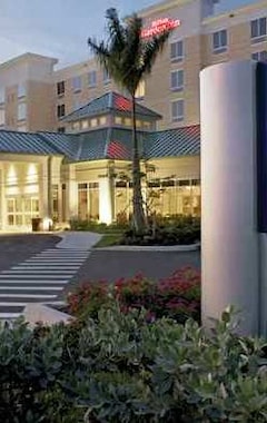 Hotel Hilton Garden Inn Fort Myers Airport/FGCU (Fort Myers, USA)