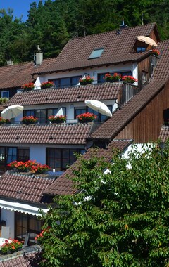 Hotelli Pension Regenscheit (Sipplingen, Saksa)