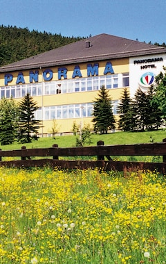 Hotelli Panorama Hotel Oberwiesenthal (Oberwiesenthal, Saksa)