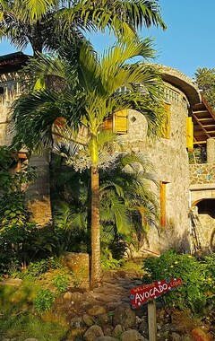Hotel Citrus Creek Plantation (La Plaine, Dominica)