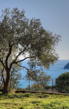 Koko talo/asunto Villa Con Giardino 10 Posti Letto Con Panorama Mozzafiato Sullisola Gallinara (Alassio, Italia)