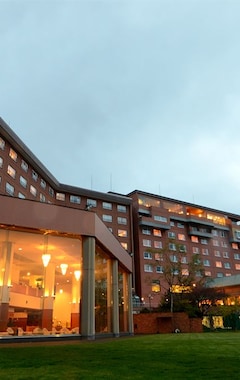 Ryokan Toyako Manseikaku Hotel Lakeside Terrace (Toyako, Japan)