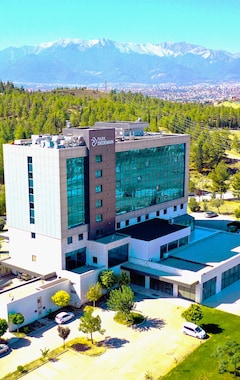 Hotel Park Dedeman Denizli (Denizli, Tyrkiet)