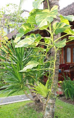 Hotel Warsa'S Garden Bungalow And Spa (Ubud, Indonesien)