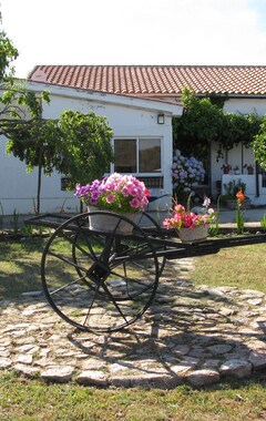 El Condado Casa Rural (Fuentes de Oñoro, España)