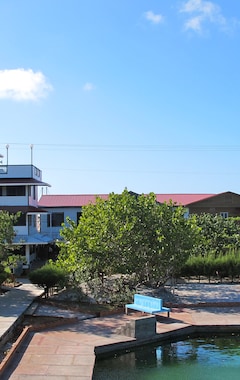 Hotelli Coral View Beach Resort (Útila, Honduras)