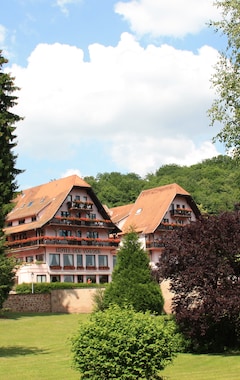 Hotelli Hotel des Vosges (Klingenthal, Ranska)