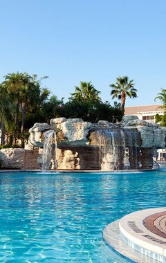 Hotel Springhill Suites By Marriott Orlando At Seaworld (Orlando, EE. UU.)