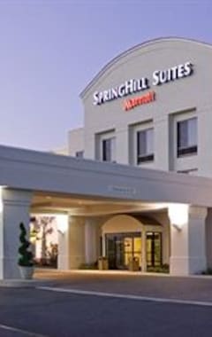 Hotel Springhill Suites by Marriott Voorhees Mt. Laurel Cherry Hill (Voorhees, EE. UU.)