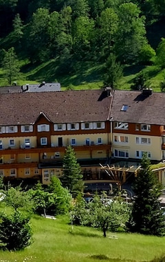 Hotelli Schwarzwaldhotel Tanne (Baiersbronn, Saksa)
