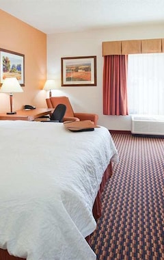 Hotel Hampton Inn Rochester (Rochester, USA)