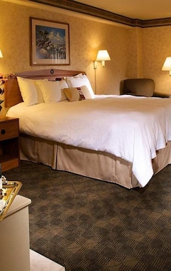 Hotel Hampton Inn Prescott (Prescott, USA)