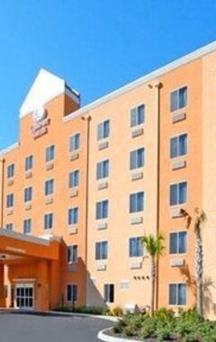Hotelli Comfort Suites Tampa Airport North (Tampa, Amerikan Yhdysvallat)