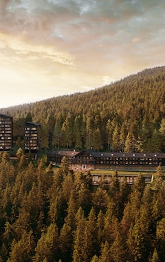Hotel Forestis Dolomites (Brixen, Italia)
