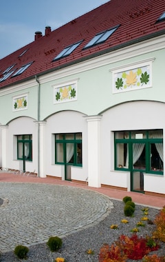 Hotel Jedlinka (Jedlina-Zdrój, Polonia)