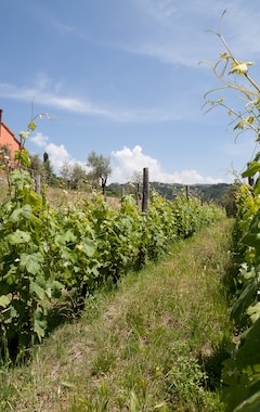 Casa rural Agriturismo La Burlanda (Fosdinovo, Italien)