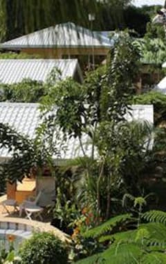 Deep Forest Garden Hotel (Puerto Princesa, Filipinas)