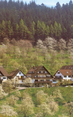 Hotelli Berggasthof Wandersruh (Lautenbach, Saksa)