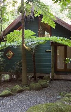 Hele huset/lejligheden Springbrook Lyrebird Retreat (Springbrook, Australien)