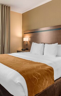 Hotelli Comfort Suites Baytown I - 10 (Baytown, Amerikan Yhdysvallat)