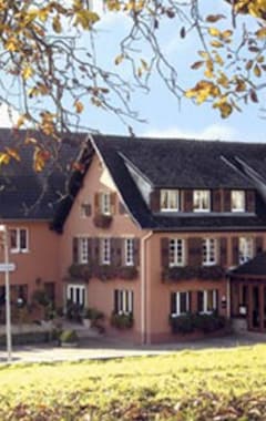 Hotelli Hotel Des Vosges (Birkenwald, Ranska)