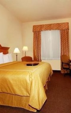 Hotel Comfort Suites at Plaza Mall (McAllen, USA)