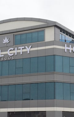 Hotelli Hotel City Inegol (İnegöl, Turkki)