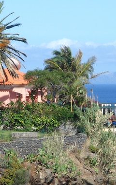 Hotelli Inn & Art Madeira (Funchal, Portugali)