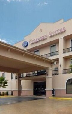 Hotel Comfort Suites Houston Nw - Vintage Park (Tomball, USA)