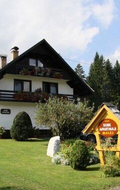 Koko talo/asunto Apartments & Rooms Malej (Bohinj, Slovenia)