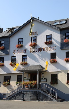 Hotel Goldener Pfropfenzieher (Oberwesel, Tyskland)