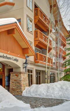 Hele huset/lejligheden Welcoming Ski-in/ski-out Condo W/shared Hot Tub & Pool & Club Solitude Access (Solitude, USA)
