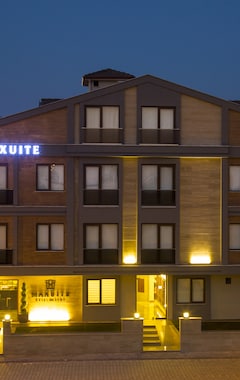 Maxuite hotel in home (Akçay, Tyrkiet)